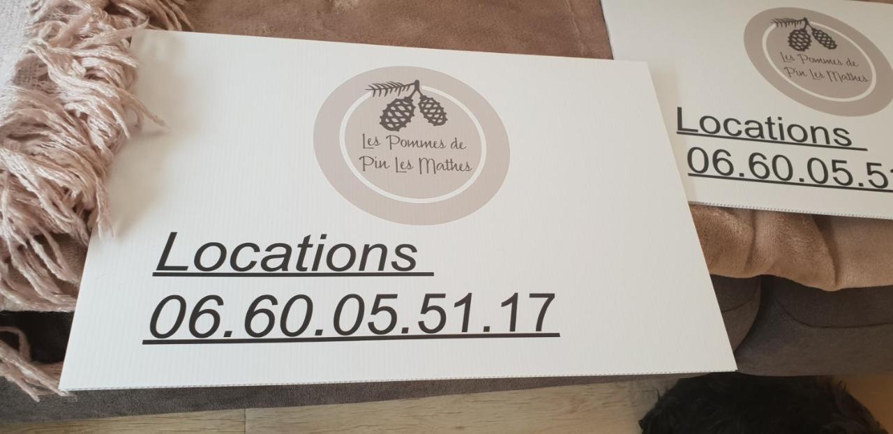 Mobil'home 2 à 4 pers Les Mathes La Palmyre , chèques vacances acceptés Extérieur photo